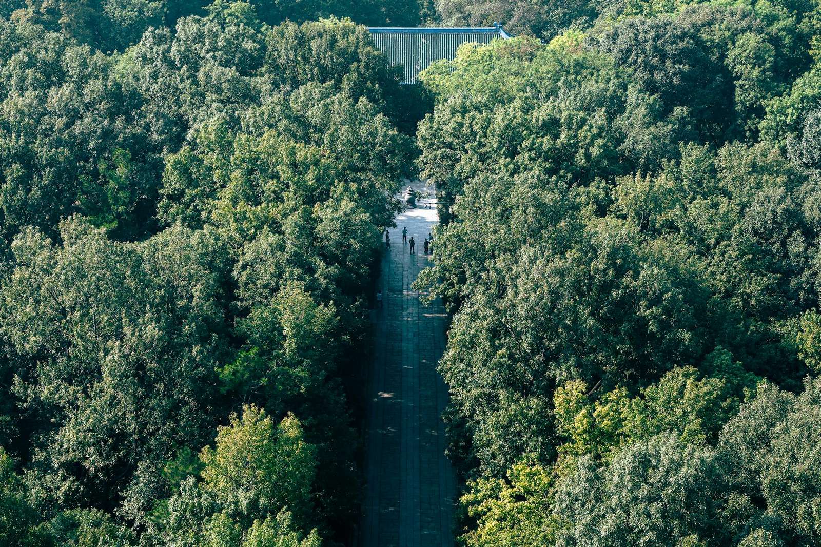 谷歌浏览器相关配图